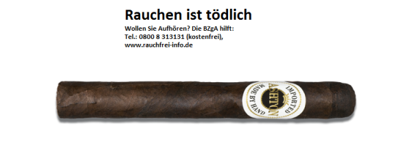 Ashton Aged Maduro No. 20